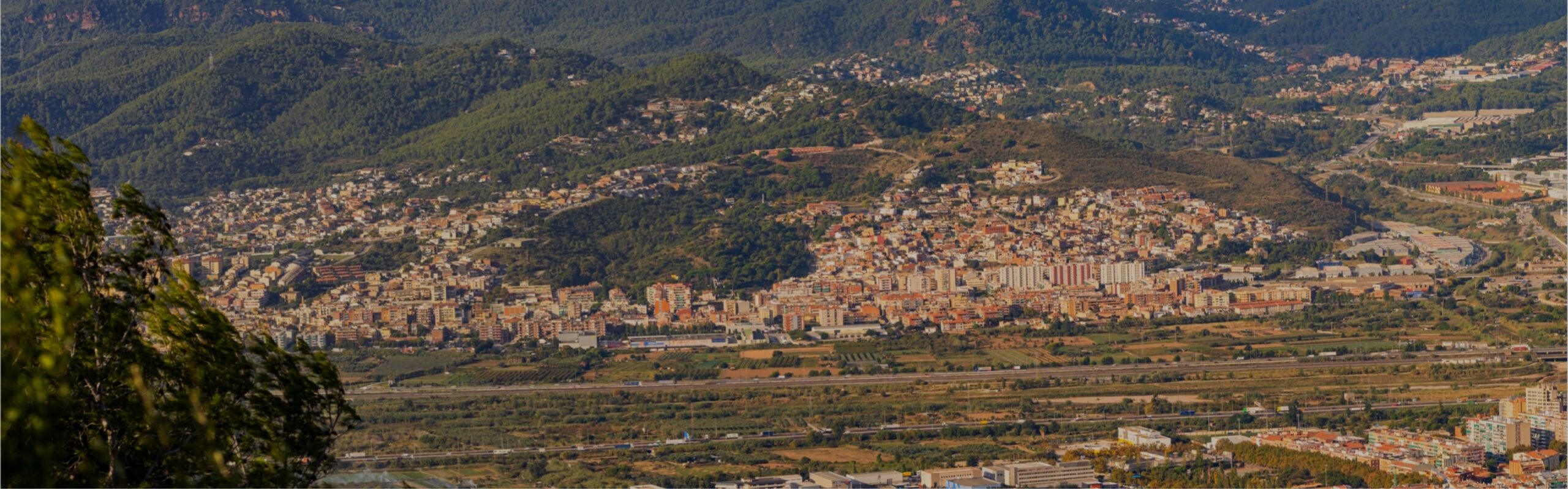 Mercat Municipal<br />
de Molins de Rei